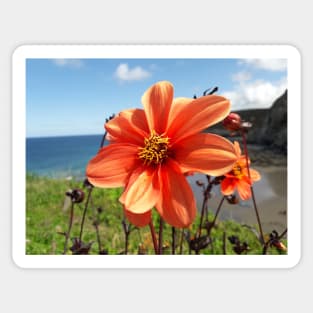 Seaside Flower Sticker